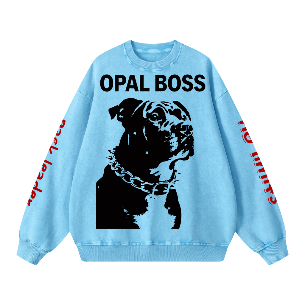 Not Mild Snow Washed Oversized Sweatshirt Opal Boss Glitch