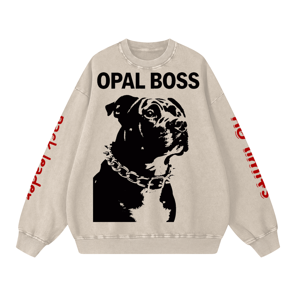 Not Mild Snow Washed Oversized Sweatshirt Opal Boss Glitch