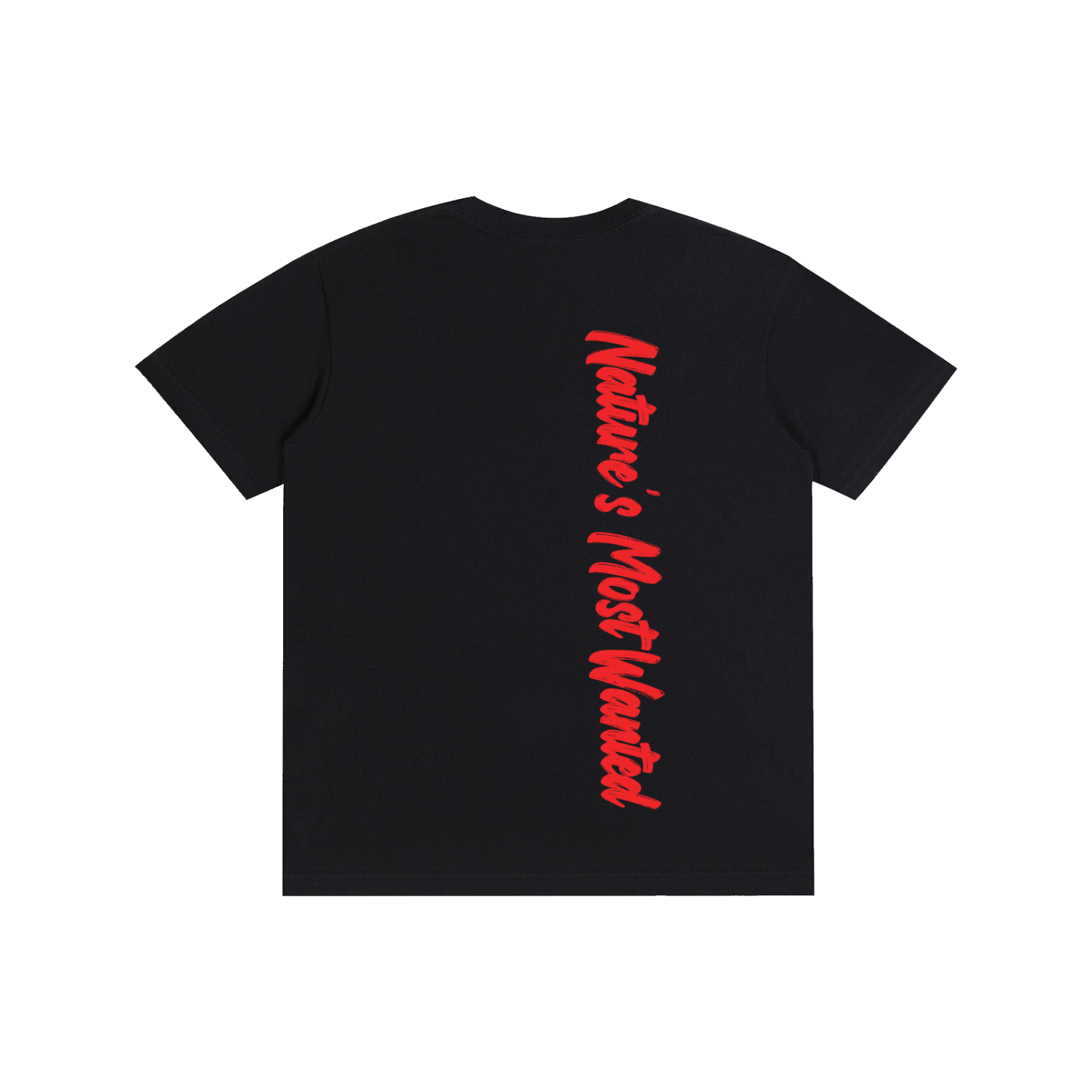 T-Shirt, Not Your Average Night Rider Cotton Tee